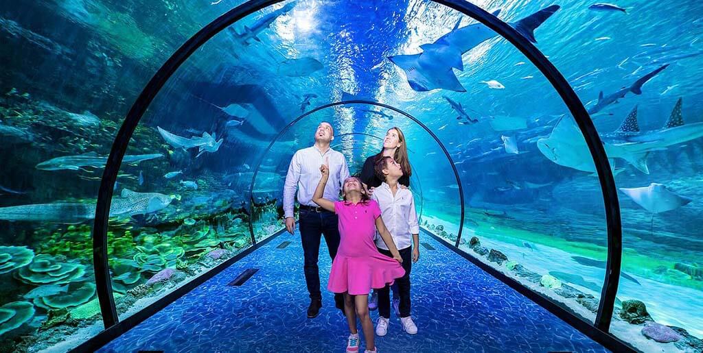 national aquarium dubai